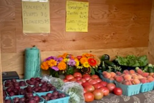 $795,000 | 2636 Highway 3, Pittsford, VT 05744