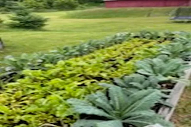 $795,000 | 2636 Highway 3, Pittsford, VT 05744