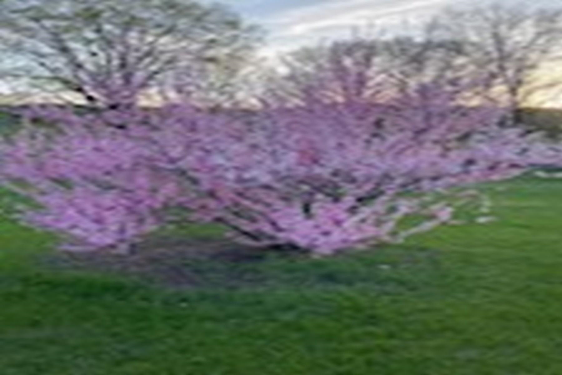 2636 Highway 3 Pittsford, VT 05744 - Photo 50 of 55