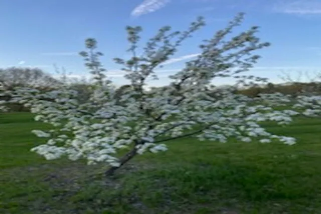 $795,000 | 2636 Highway 3, Pittsford, VT 05744