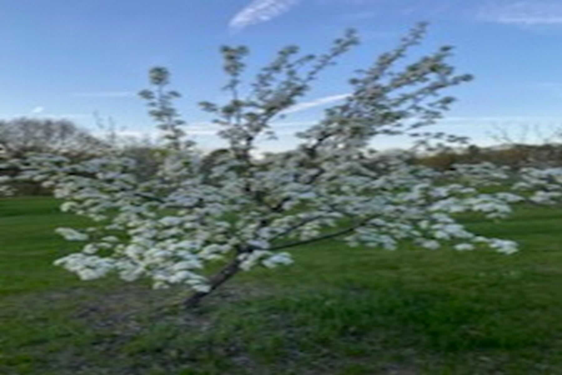 2636 Highway 3 Pittsford, VT 05744 - Photo 51 of 55