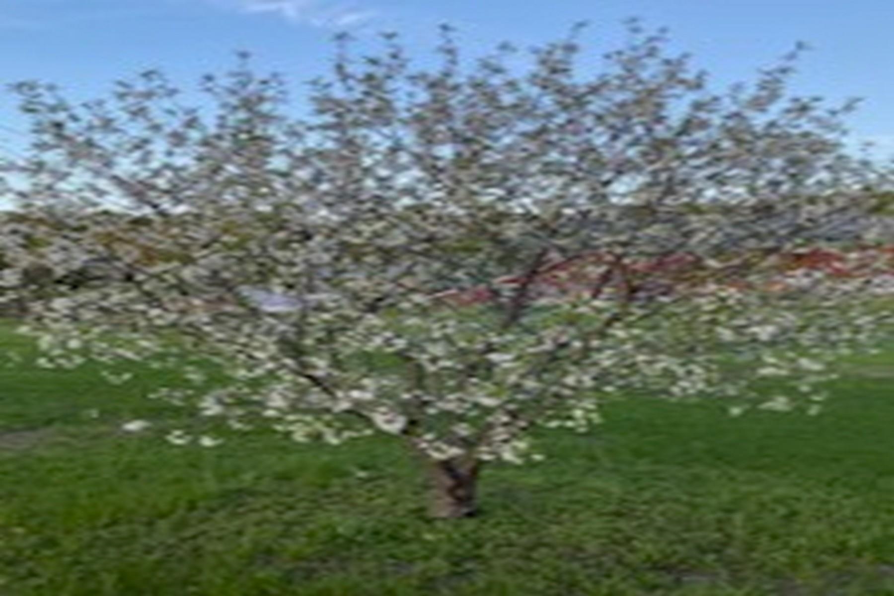 2636 Highway 3 Pittsford, VT 05744 - Photo 52 of 55