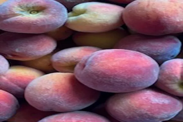 $795,000 | 2636 Highway 3, Pittsford, VT 05744