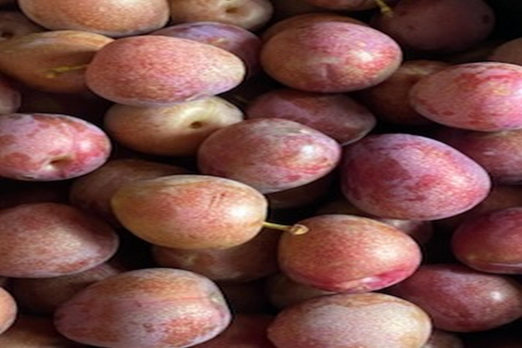 2636 Highway 3 Pittsford, VT 05744 - Photo 55 of 55