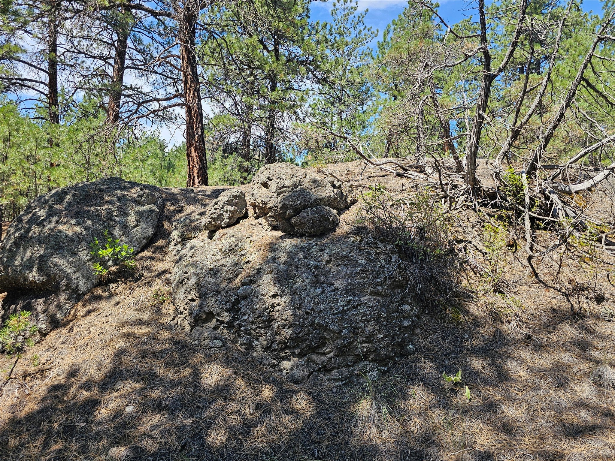 Nhn Upper Sawmill Creek Road Cascade, MT 59421 - Photo 26 of 28 Gallery Image 26