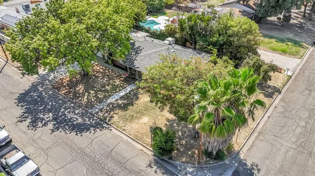 a plant with lots of plants