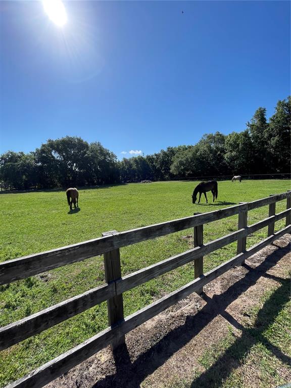 316 Old Mill Road Deltona, FL 32725 - Photo 38 of 64 view of horses from the backyard