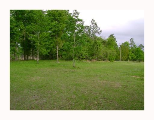 18016 Larue Road Ocean Springs, MS 39565 - Photo 5 of 6 Additional Photo
