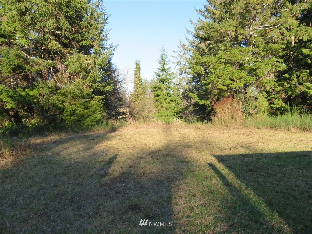 98 Ranta Road South Bend, WA 98586 - Photo 14 of 25 Gallery Image 14