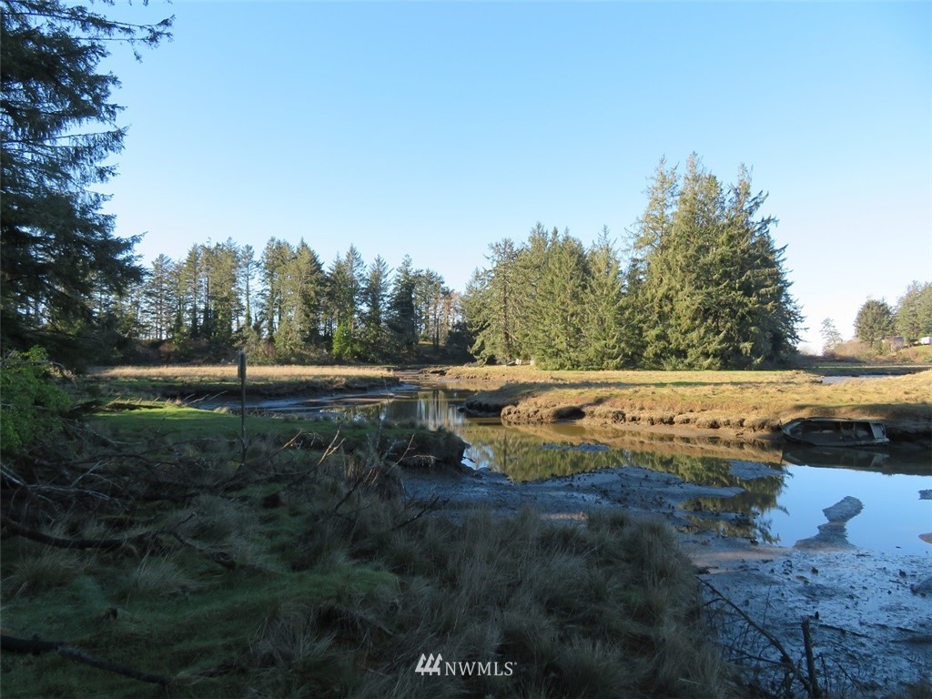98 Ranta Road South Bend, WA 98586 - Photo 8 of 25 Gallery Image 8