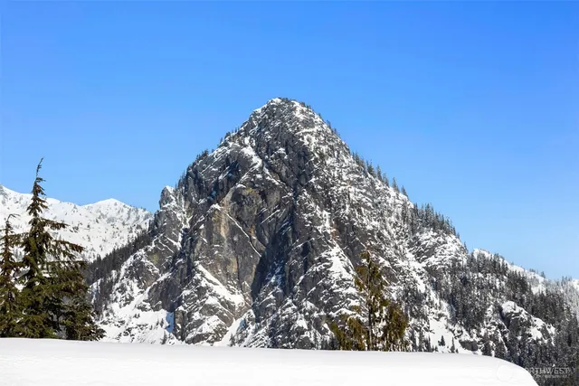 a view of a covered with trees in the background