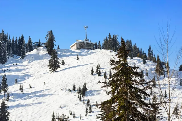 $1,119,000 | 250 Pass Life Way, Unit 2, Snoqualmie Pass, WA 98068