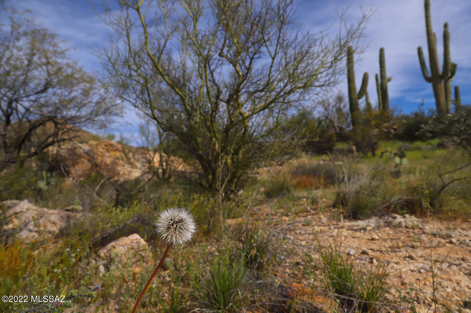 12655 East Roger Road, Unit 10 Tucson, AZ 85749 - Photo 20 of 29 Gallery Image 20