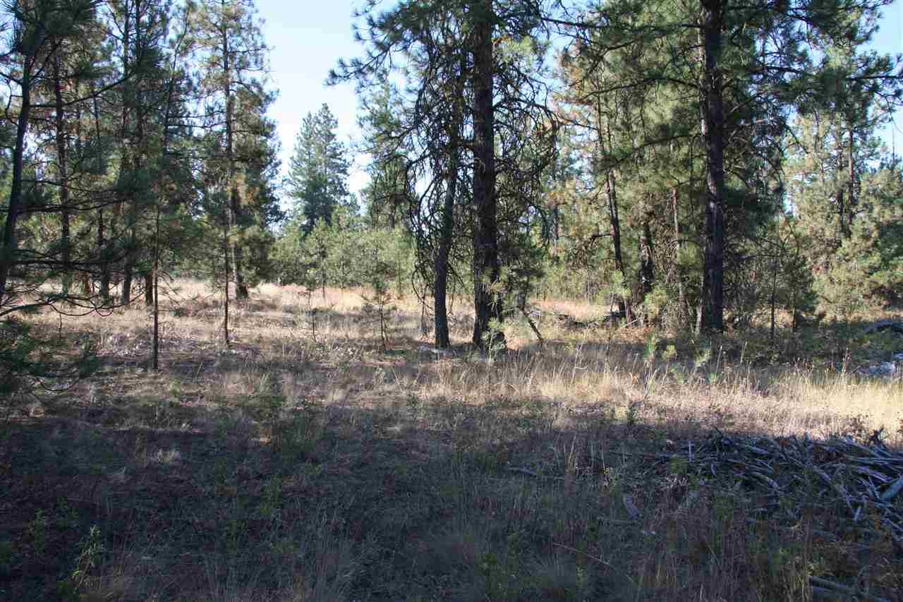 14000 South Sherman Road, Unit PARCEL A Spokane, WA 99224 - Photo 4 of 7