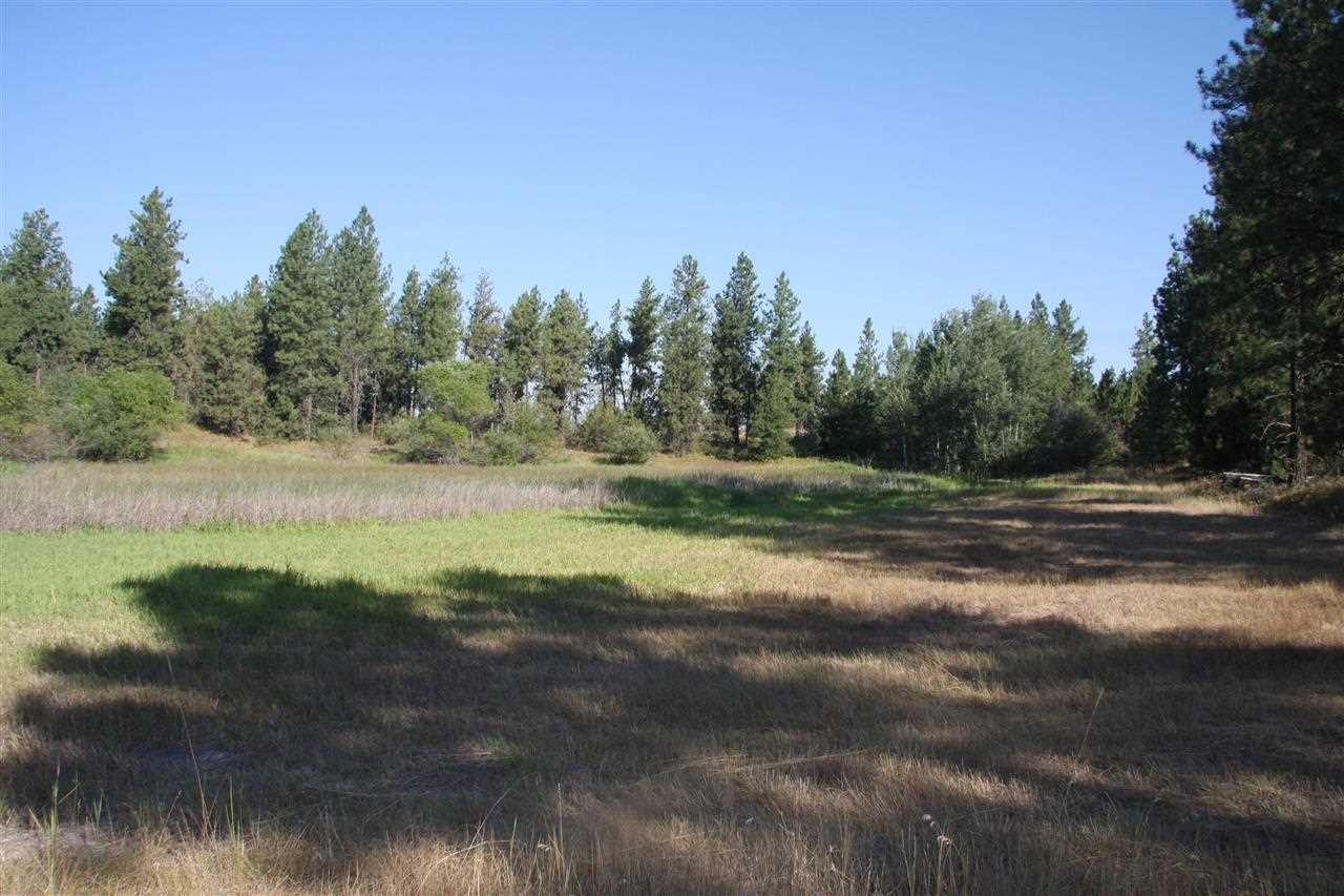 14000 South Sherman Road, Unit PARCEL A Spokane, WA 99224 - Photo 6 of 7