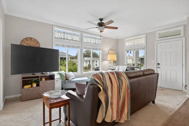 a living room with furniture ceiling fan and a rug