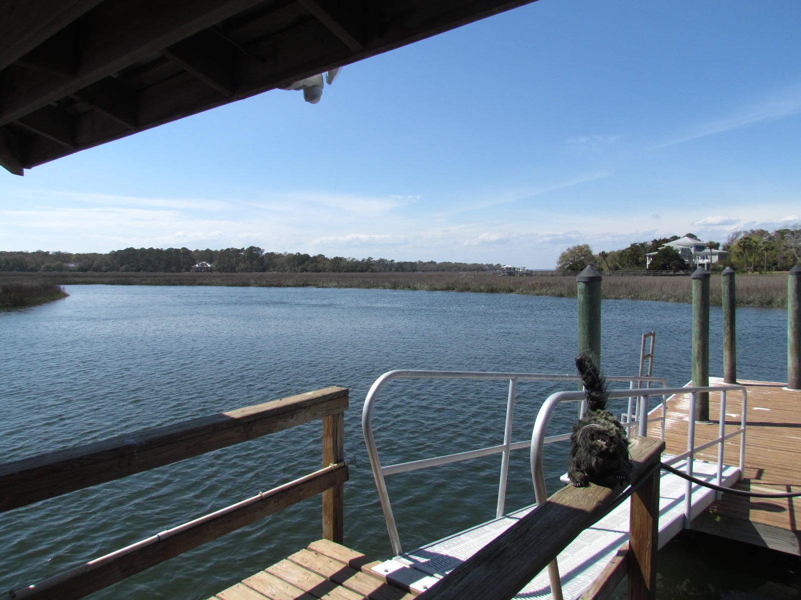 8550 Oyster Factory Road Edisto Island, SC 29438 - Photo 14 of 39 IMG_2923