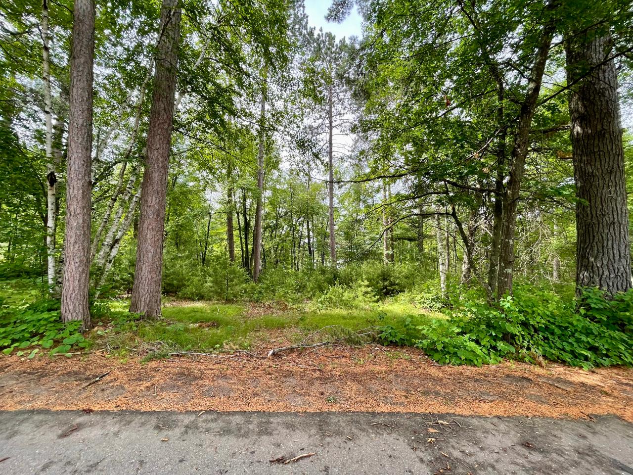 On Selmer Road, Unit LOT 18 Tomahawk, WI 54487 - Photo 4 of 8 Gallery Image 4