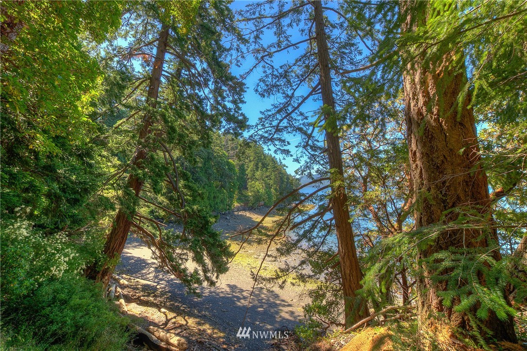 814 Olga Road Orcas Island, WA 98245 - Photo 22 of 22 Gallery Image 22