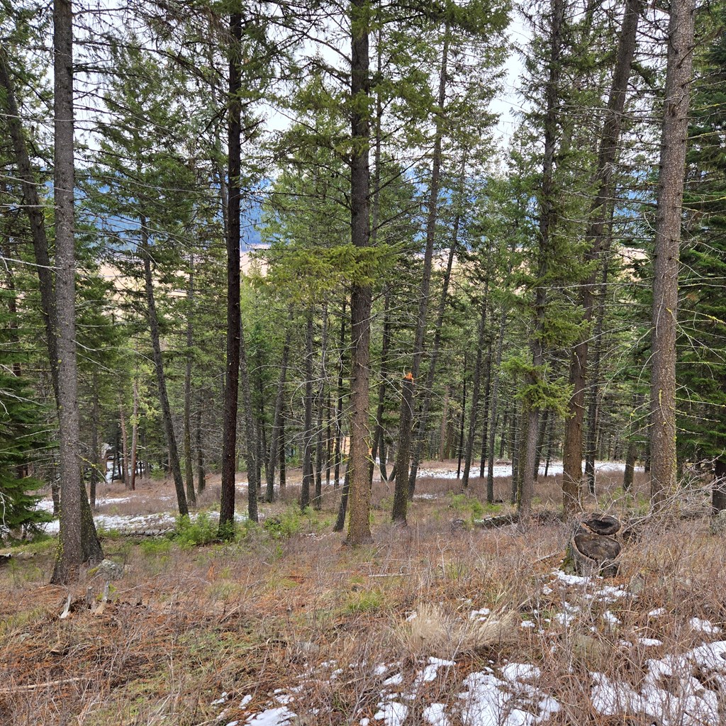 Tbd Granite View Road New Meadows, ID 83654 - Photo 2 of 9
