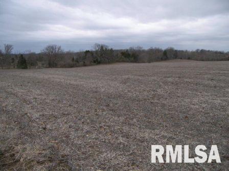 22260 Corinth Road Thompsonville, IL 62890 - Photo 1 of 4