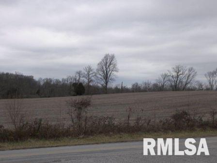 22260 Corinth Road Thompsonville, IL 62890 - Photo 3 of 4