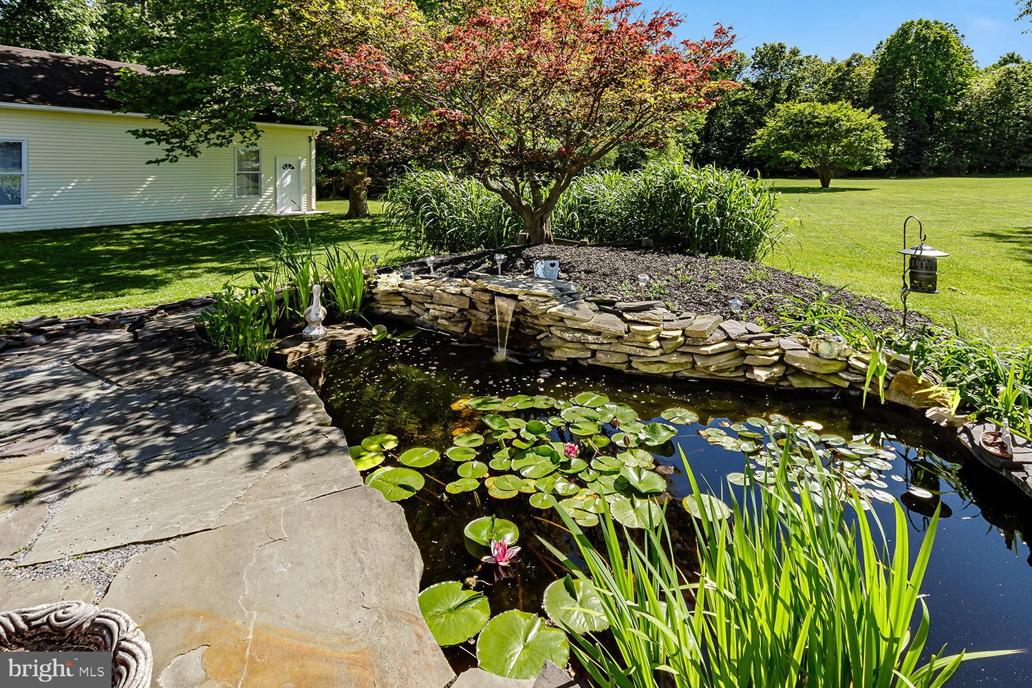 91 Ark Road Lumberton, NJ 08048 - Photo 41 of 46 Koi pond with waterfall and lily pads