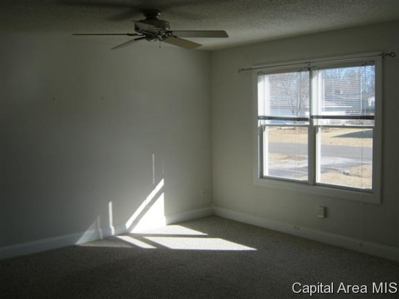 115-117 Buckingham Road Chatham, IL 62629 - Photo 5 of 15 Gallery Image 5