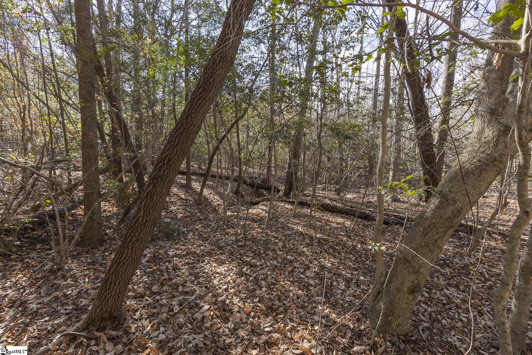 363 South Glassy Mountain Church Road Pickens, SC 29671 - Photo 11 of 16