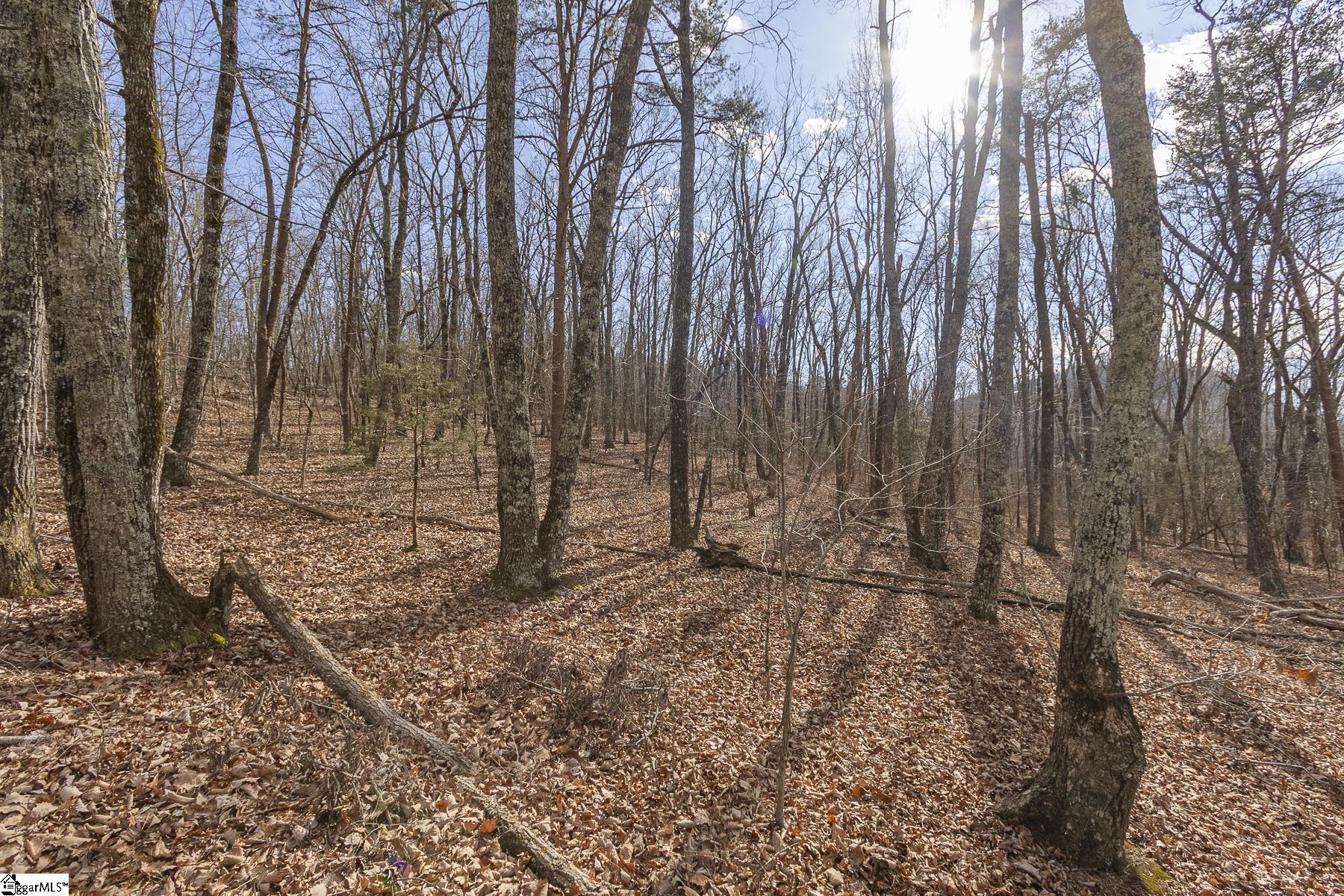 363 South Glassy Mountain Church Road Pickens, SC 29671 - Photo 12 of 16
