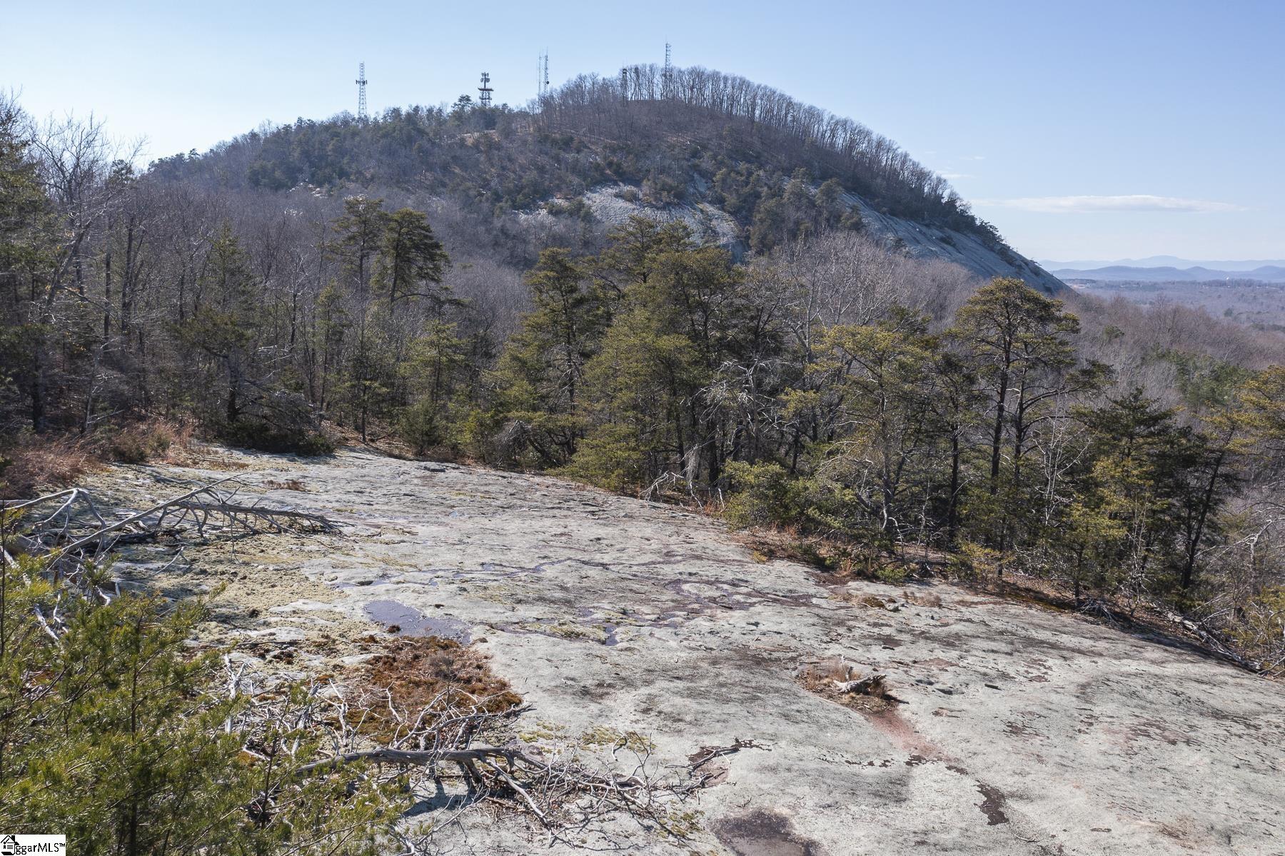 363 South Glassy Mountain Church Road Pickens, SC 29671 - Photo 14 of 16