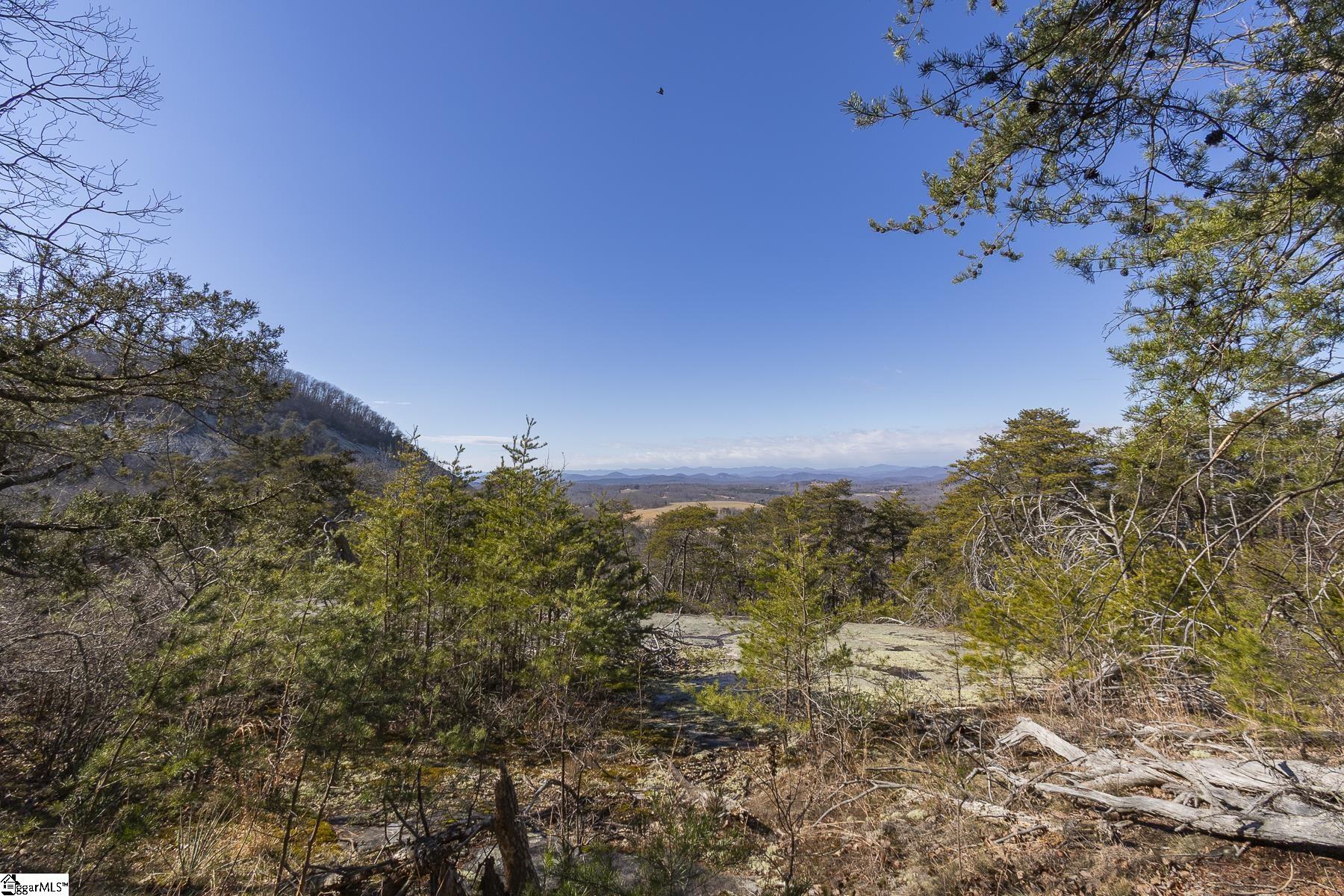 363 South Glassy Mountain Church Road Pickens, SC 29671 - Photo 2 of 16