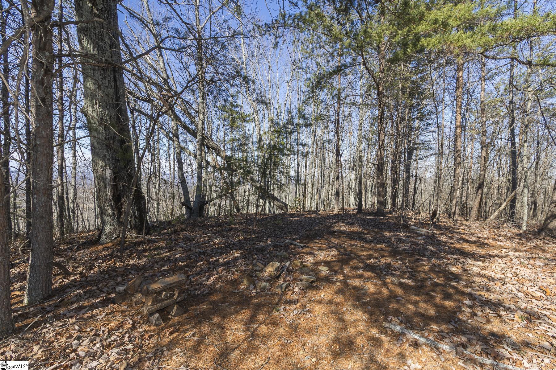 363 South Glassy Mountain Church Road Pickens, SC 29671 - Photo 3 of 16