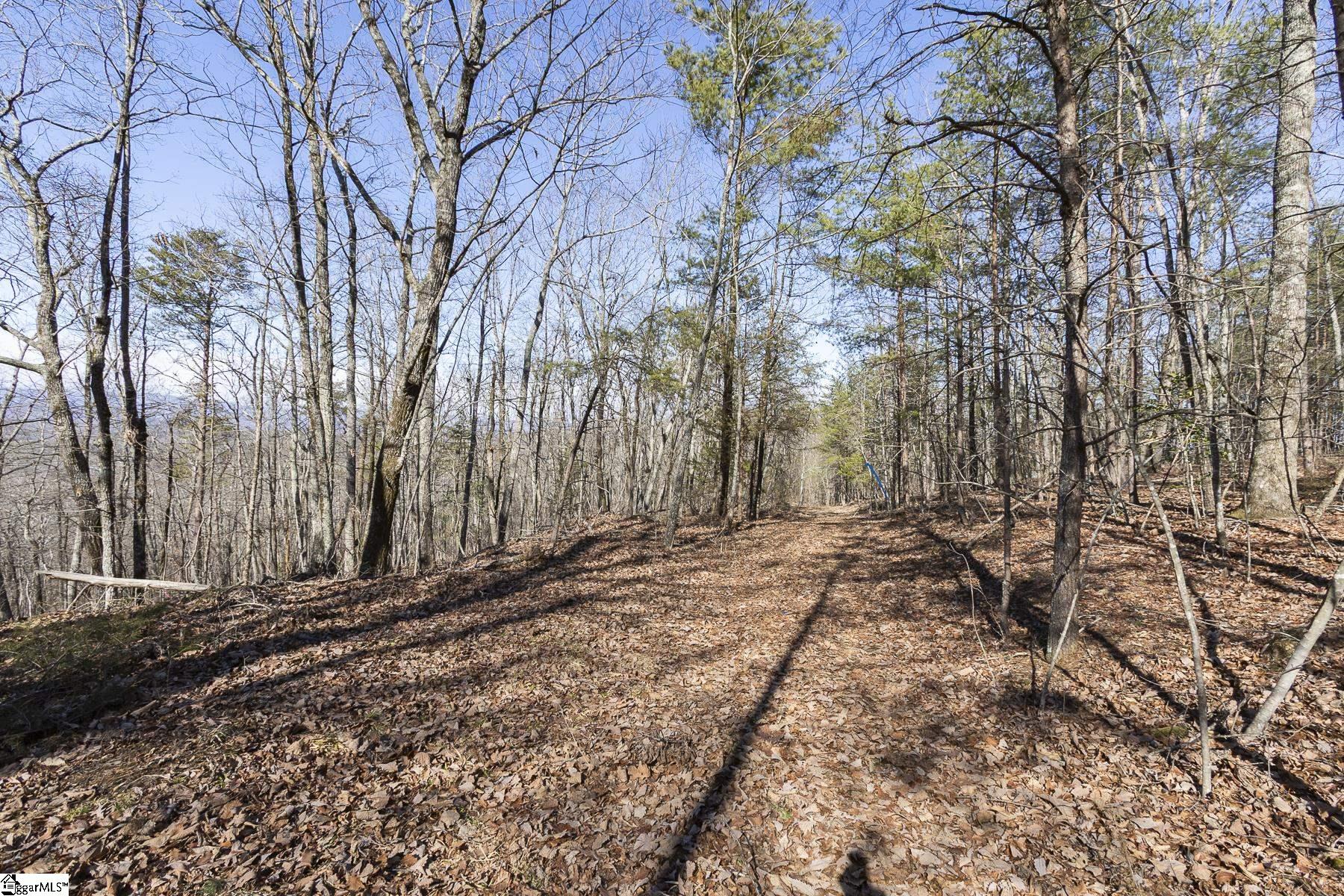 363 South Glassy Mountain Church Road Pickens, SC 29671 - Photo 4 of 16
