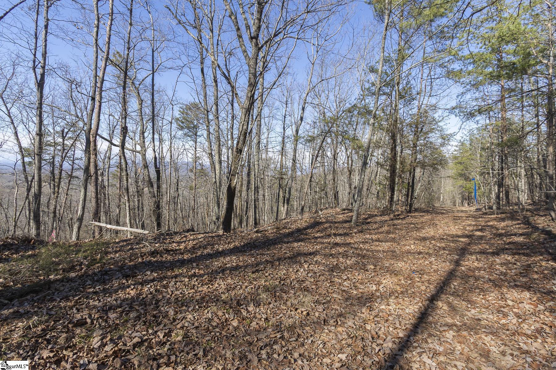 363 South Glassy Mountain Church Road Pickens, SC 29671 - Photo 6 of 16
