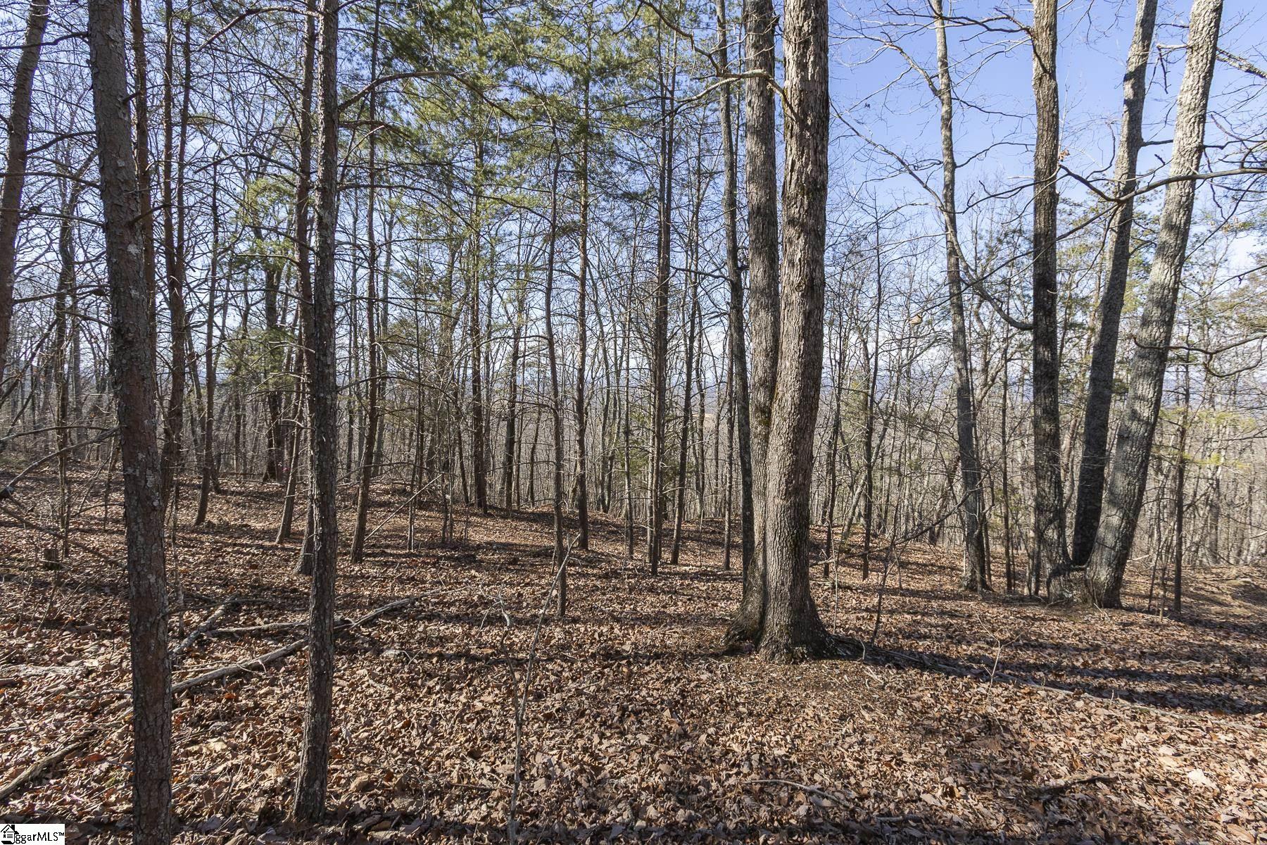 363 South Glassy Mountain Church Road Pickens, SC 29671 - Photo 7 of 16