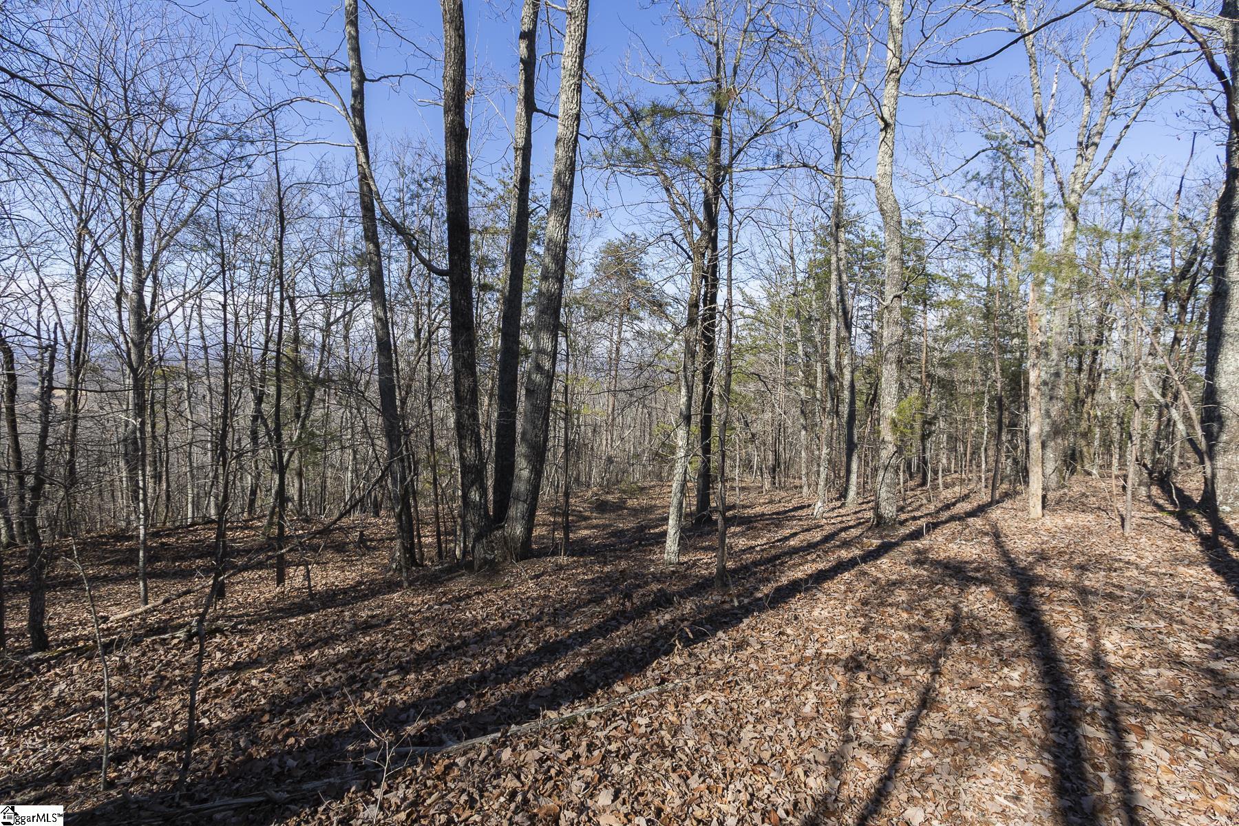 363 South Glassy Mountain Church Road Pickens, SC 29671 - Photo 8 of 16