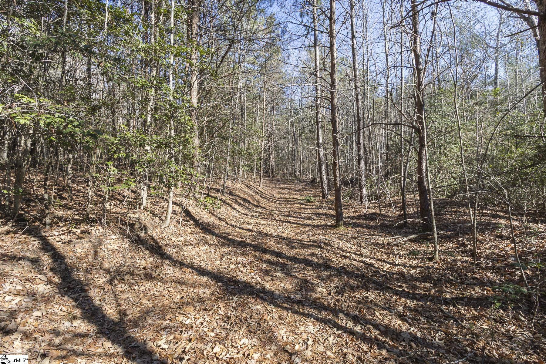 363 South Glassy Mountain Church Road Pickens, SC 29671 - Photo 10 of 16