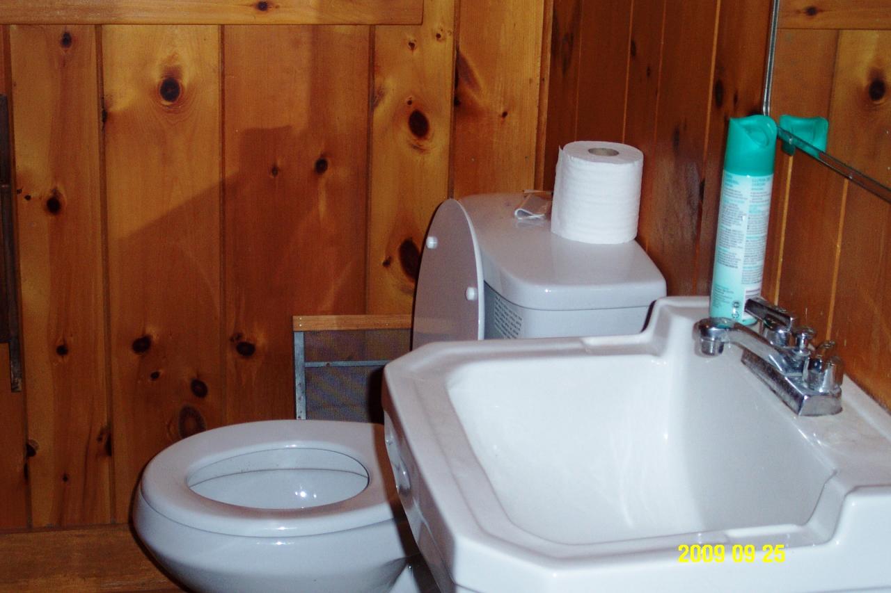 87 Curtin Road Peru, MA 01235 - Photo 16 of 17 a bathroom with a sink toilet and shower