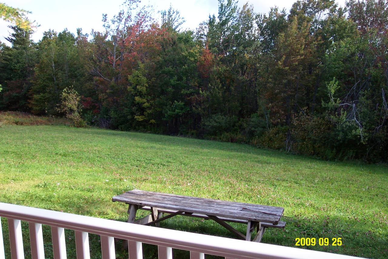 87 Curtin Road Peru, MA 01235 - Photo 5 of 17 a view of a two chairs in the garden