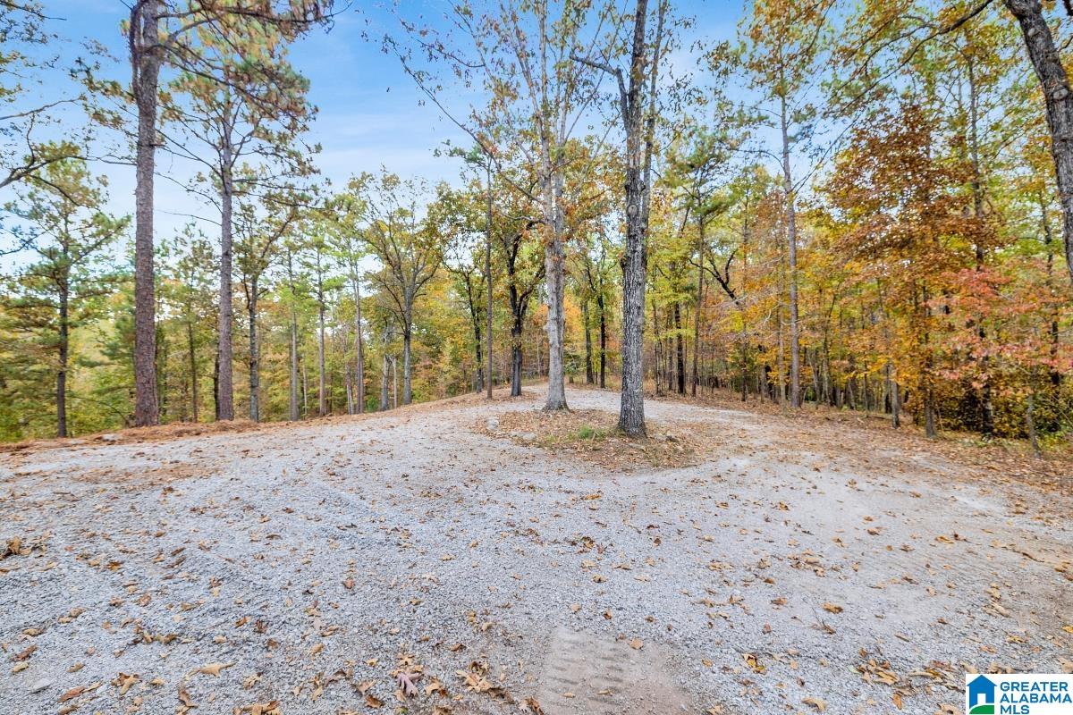 621 Hodgens Road Chelsea, AL 35043 - Photo 38 of 59 Gallery Image 38