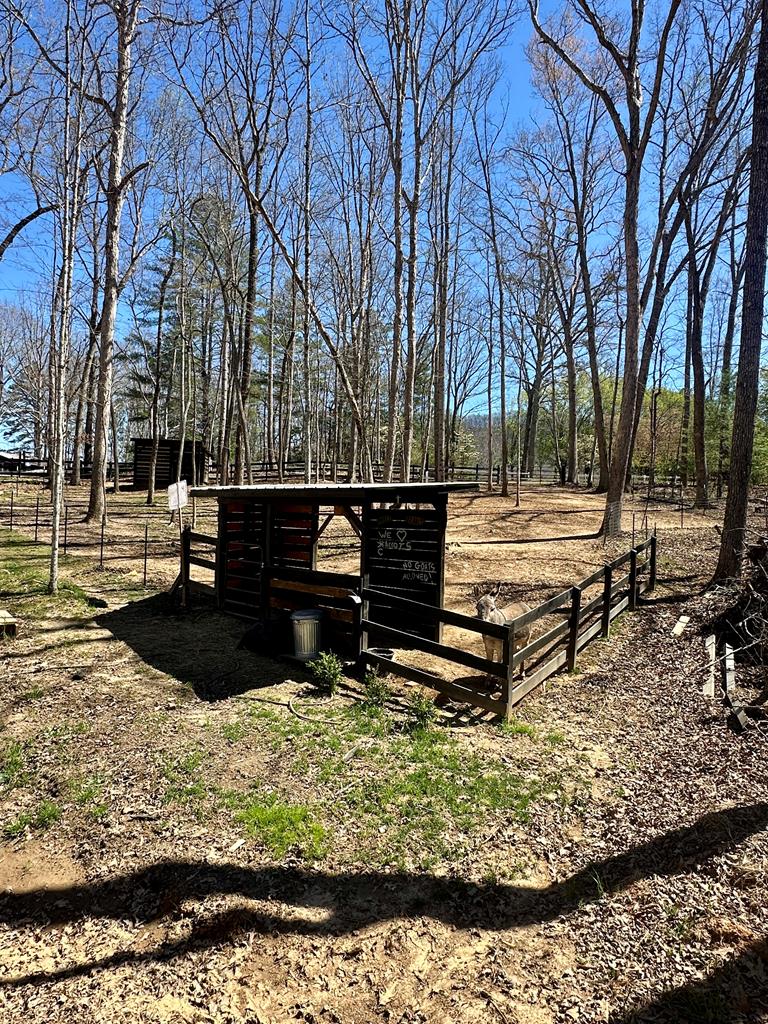 554 Tipton Springs Road Morganton, GA 30560 - Photo 53 of 74