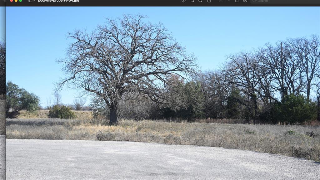 137 Aslan Road Poolville, TX 76487 - Photo 2 of 2