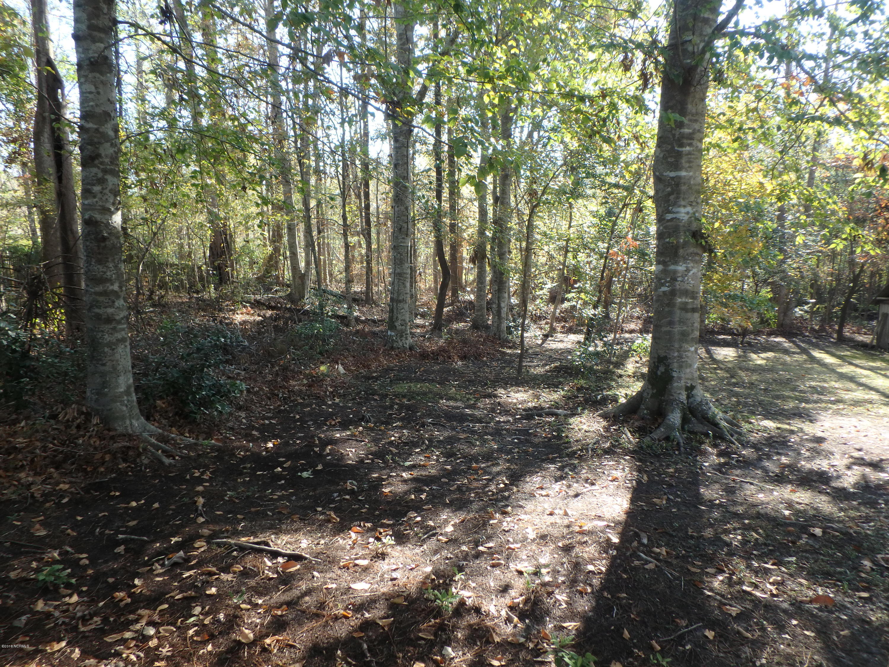 2310 Country Club Road Jacksonville, NC 28546 - Photo 13 of 55 PB210624