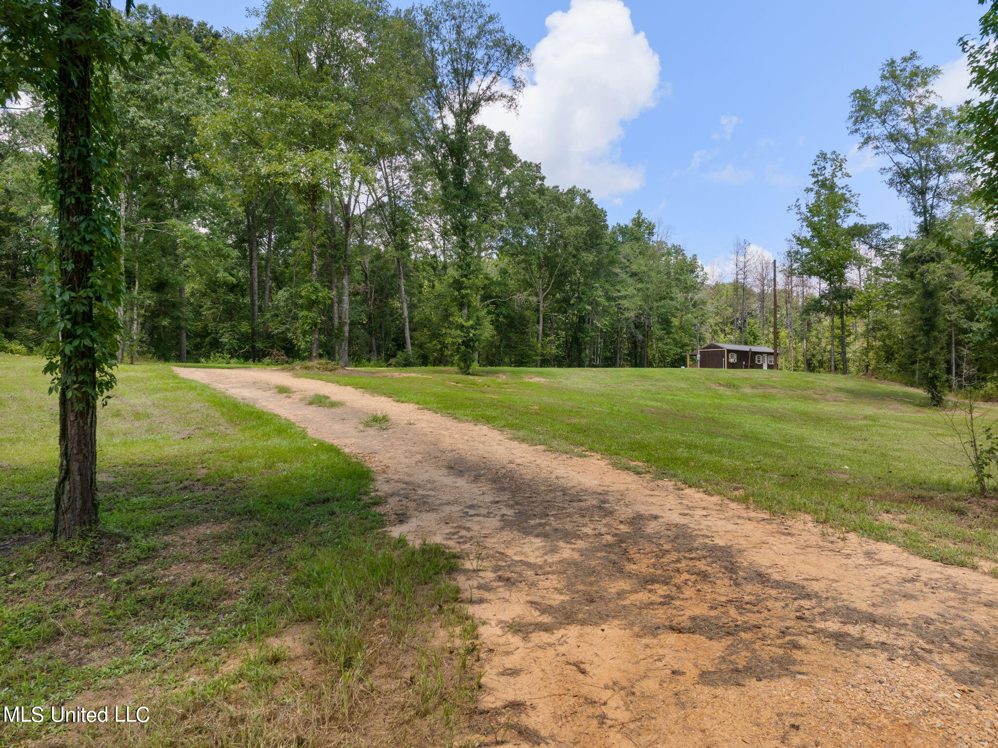 9943 McNair Road Roxie, MS 39661 - Photo 3 of 32 9943_McNair_Rd-3
