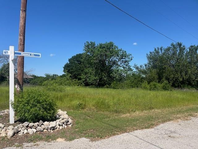 1213 Overlook Court Whitney, TX 76692 - Photo 1 of 29 a view of a yard