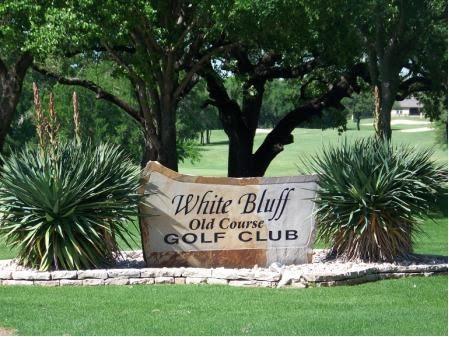 1213 Overlook Court Whitney, TX 76692 - Photo 14 of 29 a view of garden with palm tree