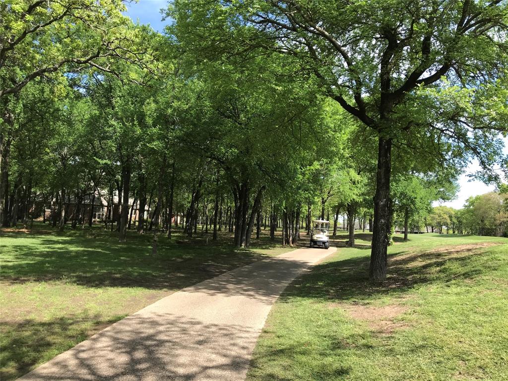 1213 Overlook Court Whitney, TX 76692 - Photo 15 of 29 a view of a park with large trees