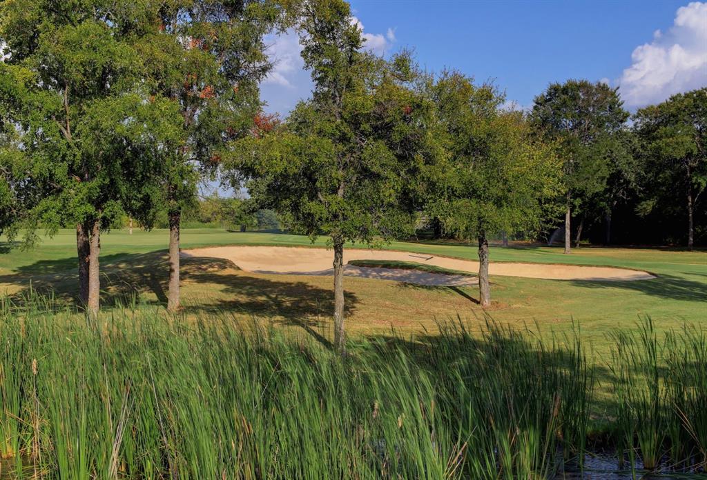 1213 Overlook Court Whitney, TX 76692 - Photo 21 of 29 a view of a backyard