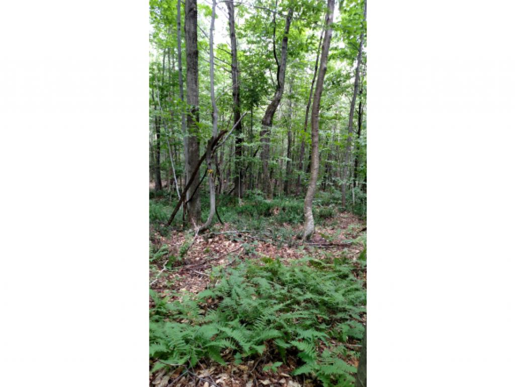 Lot 5 Stevens Mill Road Jay, VT 05859 - Photo 3 of 10 Gallery Image 3